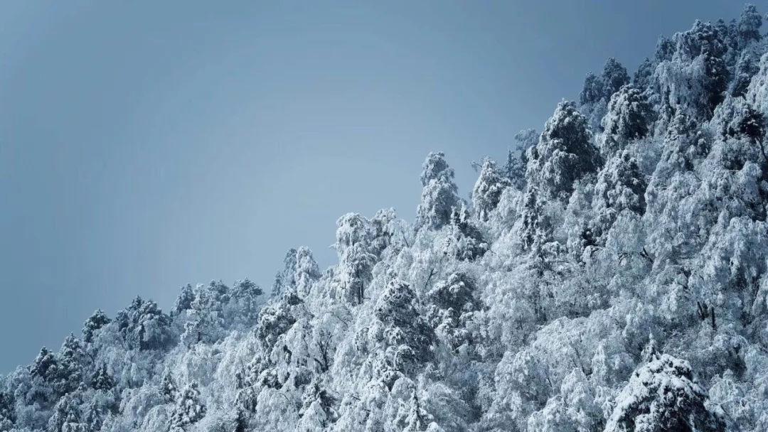 发现之旅
