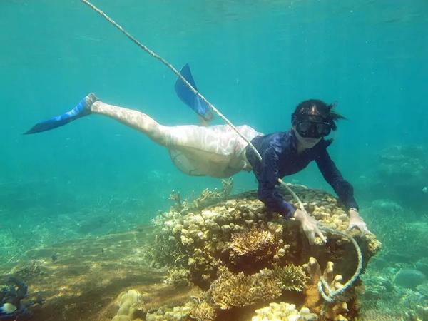 21个农文体商旅项目集中签约 落户宁河区